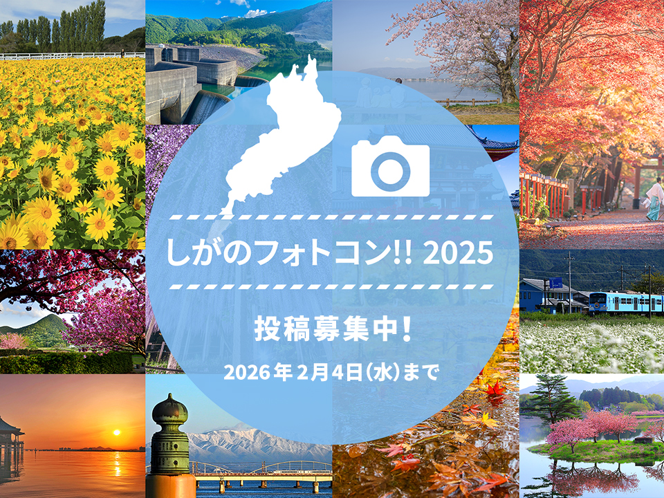 掲載写真